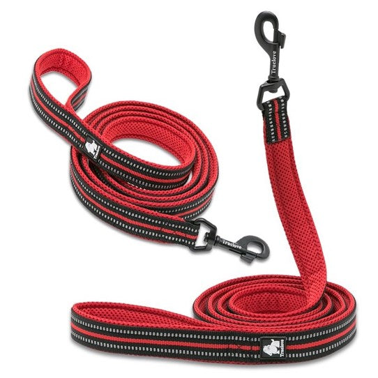 Laisse rouge en nylon pour chien