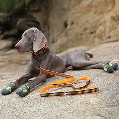 Laisse orange en nylon pour chien