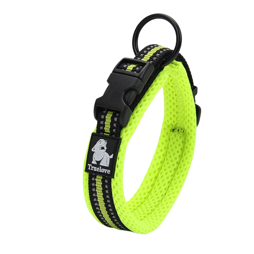 Collier vert en nylon pour chien 