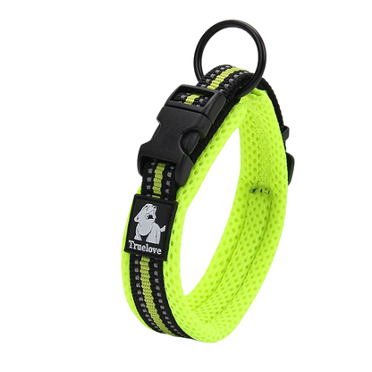 Collier vert en nylon pour chien 