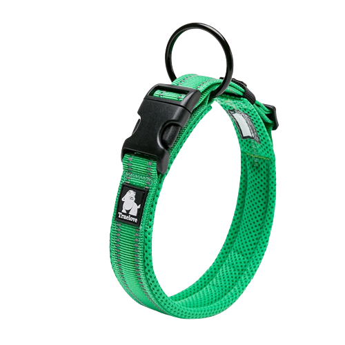 Collier vert en nylon pour chien 