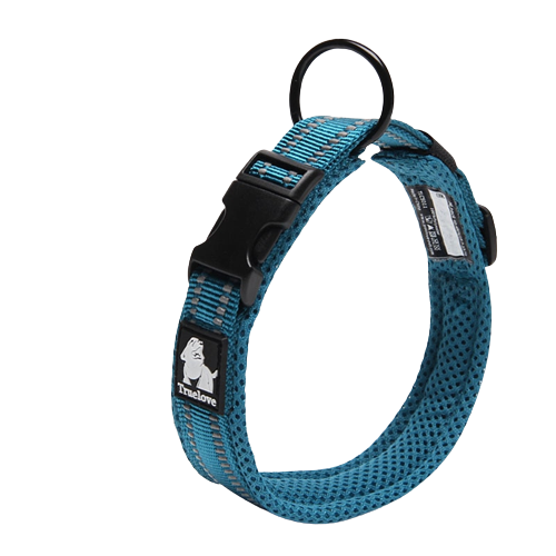 Collier bleu en nylon pour chien 