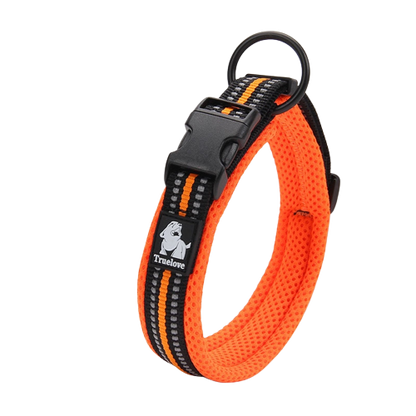 Collier orange en nylon pour chien 