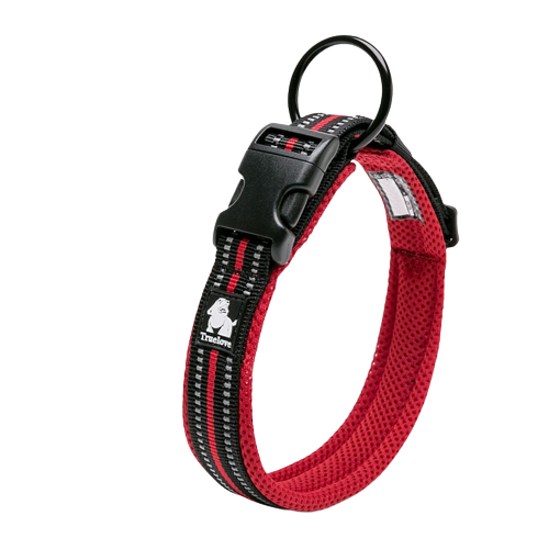 Collier rouge en nylon pour chien 
