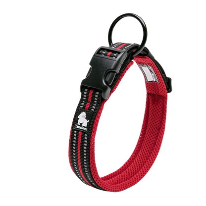 Collier rouge en nylon pour chien 