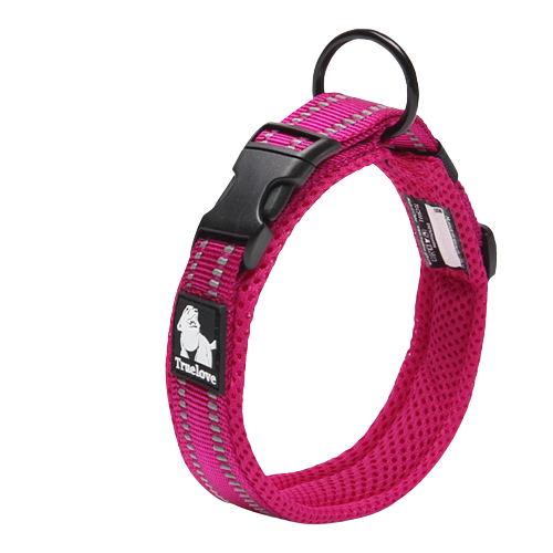 Collier rose en nylon pour chien 