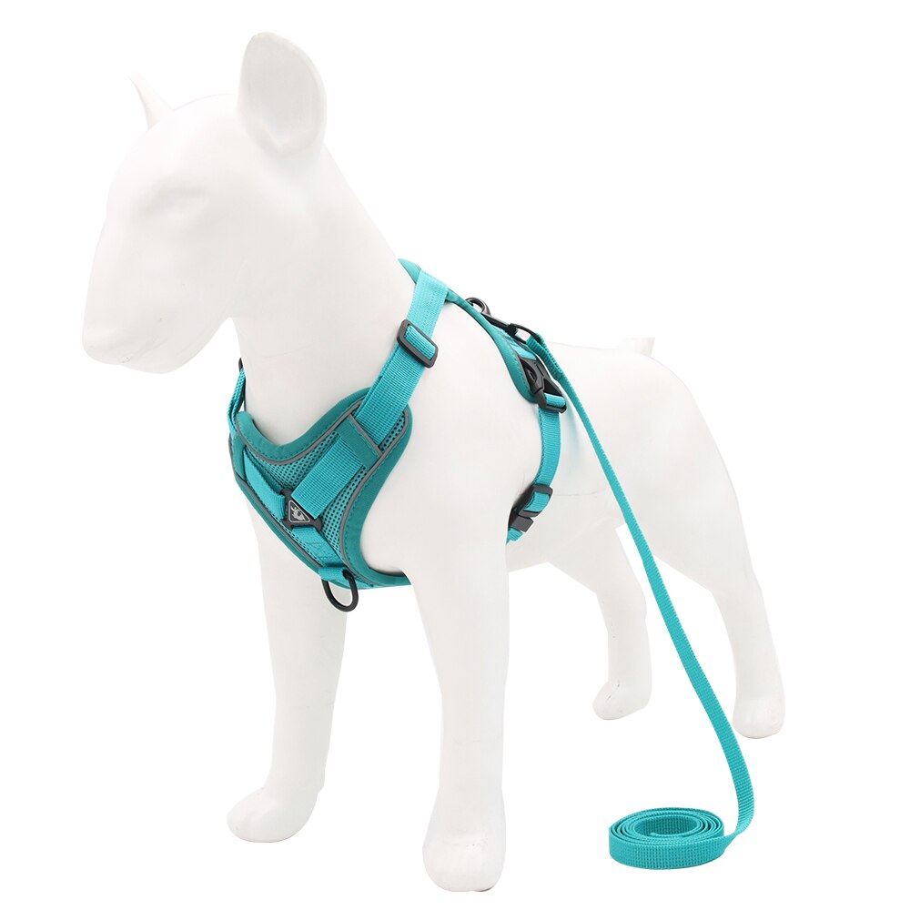 Harnais turquoise pour petit chien et chat