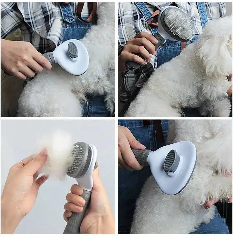 Brosse grise avec poussoir en utilisation pour chien