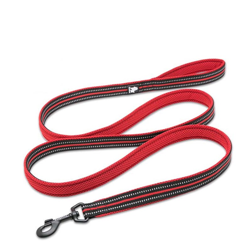 Laisse rouge en nylon pour chien