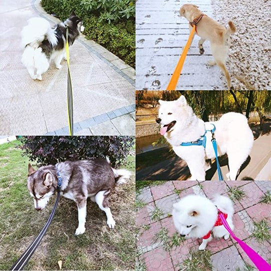 Laisses en nylon pour chien