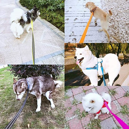 Laisses en nylon pour chien