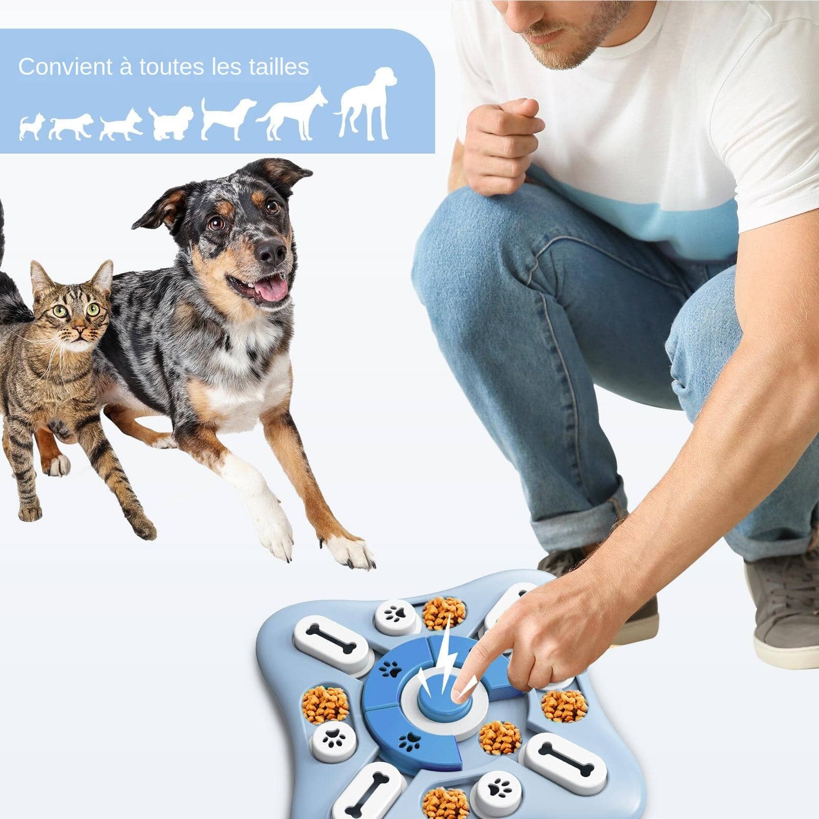 Jeu interactif pour chien et chat