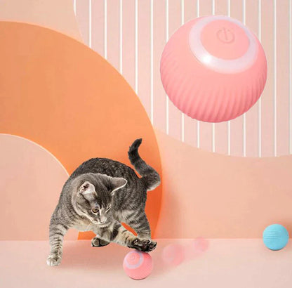 Balle interactive rose pour chat