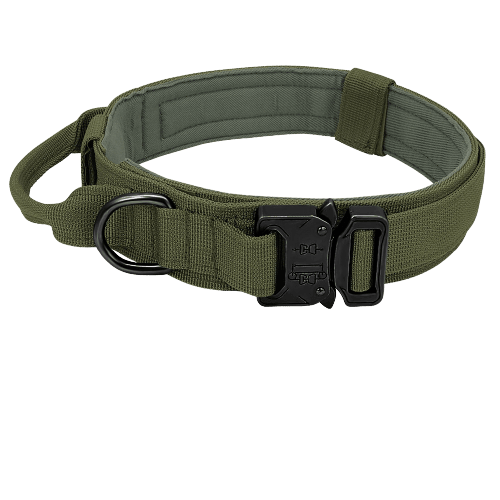 Collier tactique kaki pour chien