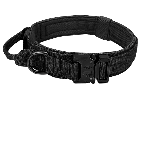 Collier tactique noir pour chien
