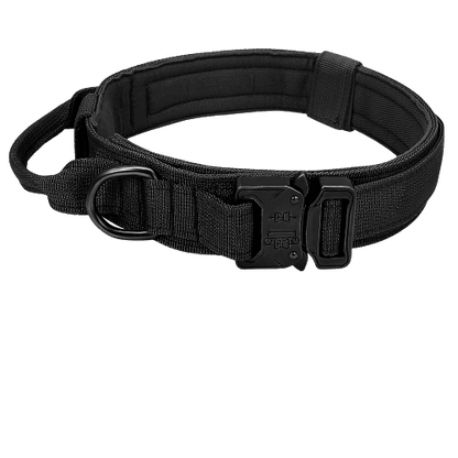 Collier tactique noir pour chien