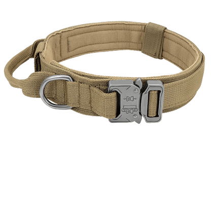 Collier tactique beige pour chien