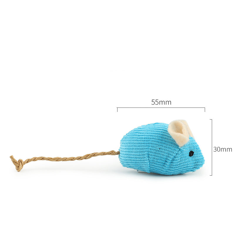 Dimension souris pour chat
