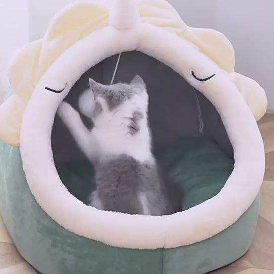 Présentation du lit en forme d'animaux pour chat