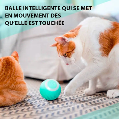 Balle interactive bleue pour chat