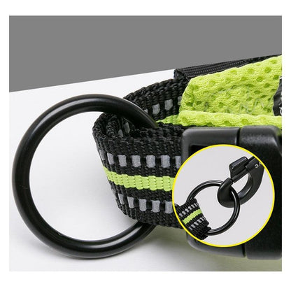 Collier vert en nylon pour chien 
