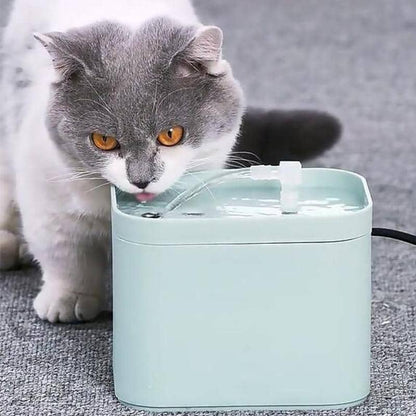 Chat entrain de boire dans une fontaine à eau pour chat