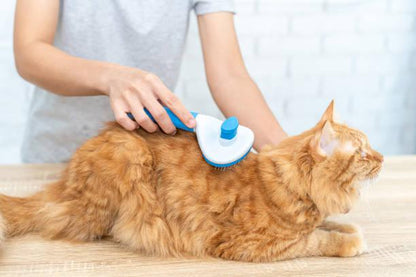 Brosse grise avec poussoir pour chat