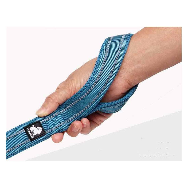 Laisse bleue en nylon pour chien