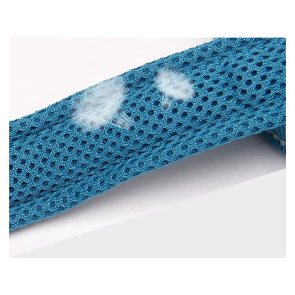 Laisse bleue en nylon pour chien