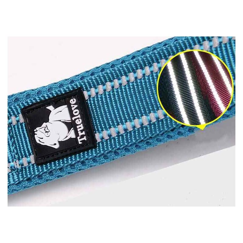 Laisse bleue en nylon pour chien