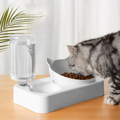 Chat entre de manger dans un bol de croquettes pour chat avec distributeur d'eau automatique