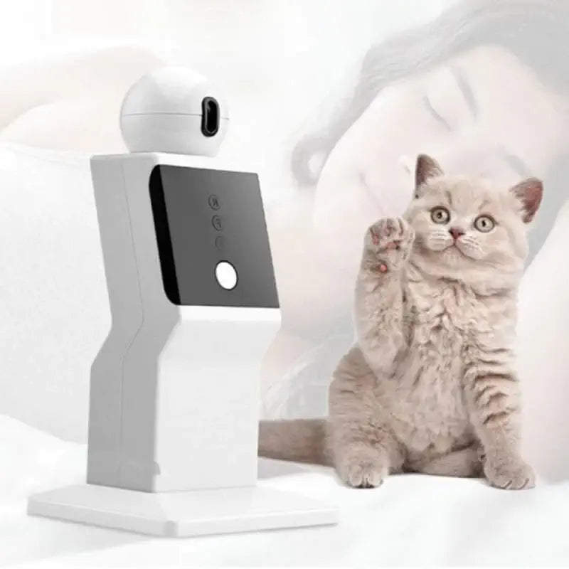 Laser automatique à mouvements aléatoires pour chat